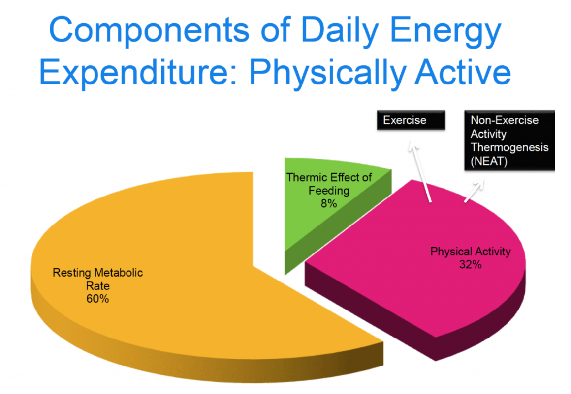 non exercise activity thermogenesis non exercise activity thermogenesis