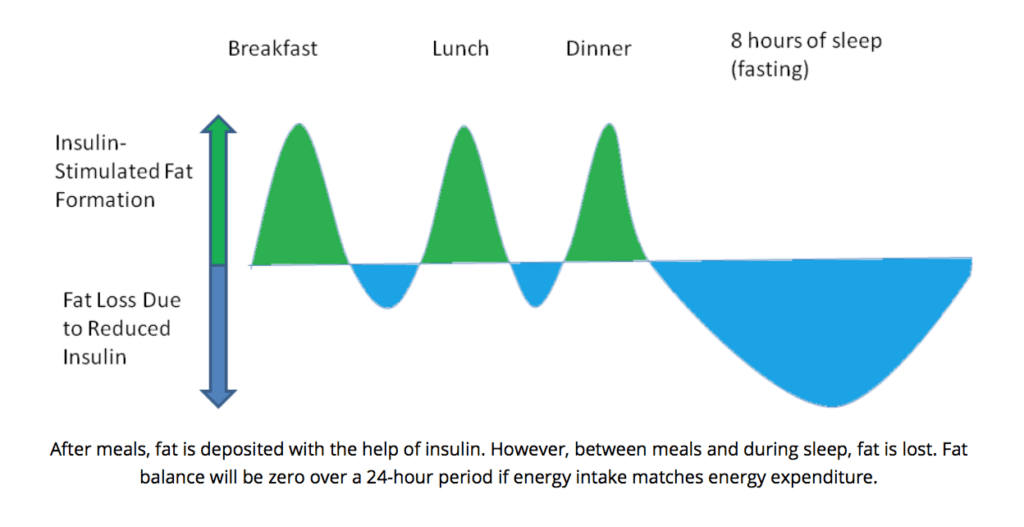 low-carbohydrates-fat-loss